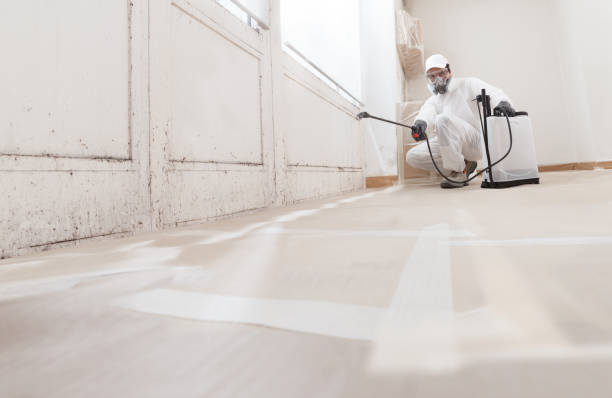 24/7 Emergency Commercial Mold Remediation experts in Fairview, TX