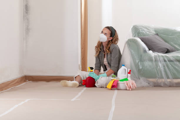 Reliable Commercial Mold Remediation contractor in Fairview, TX by 24 Hour Mold Removal